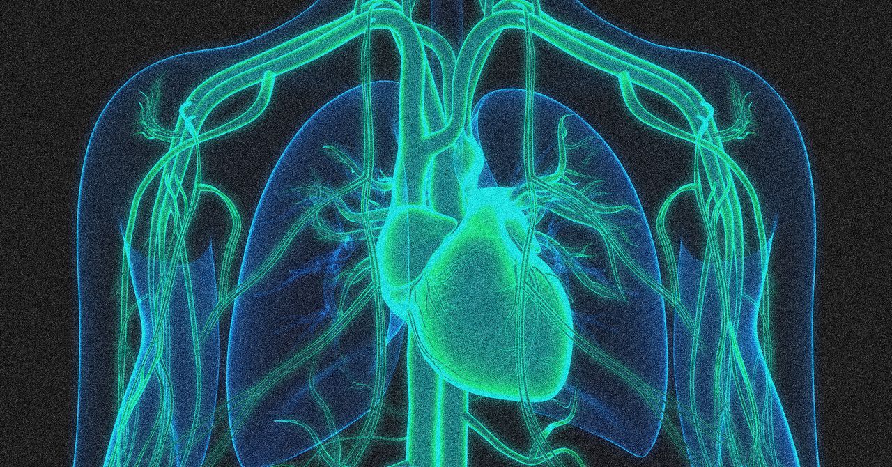 Uma terapia de edição genética reduz os níveis de colesterol pela metade