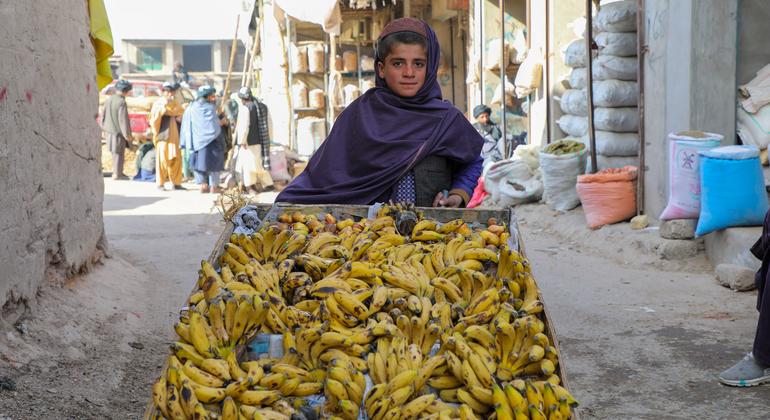 Conselho de Segurança analisa direitos humanos e crise humanitária no Afeganistão