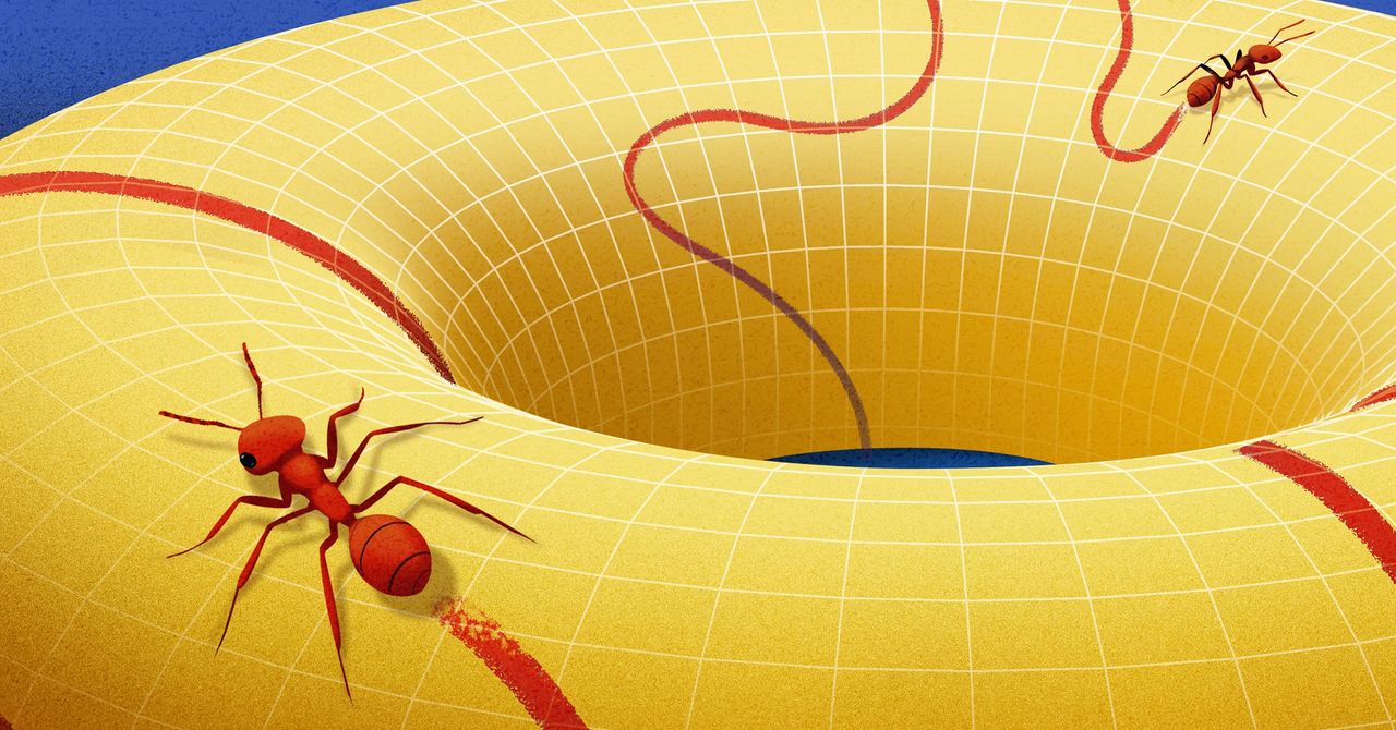 Eis a variedade, o conceito que mudou a forma como os matemáticos veem o espaço