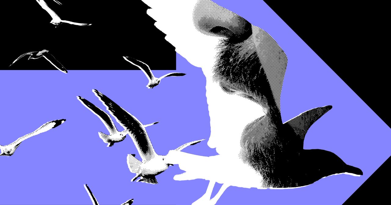 Os influenciadores políticos mais poderosos mal postam sobre política