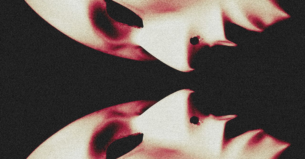 A plataforma ultrarrealista de troca de rosto com IA que gera golpes românticos