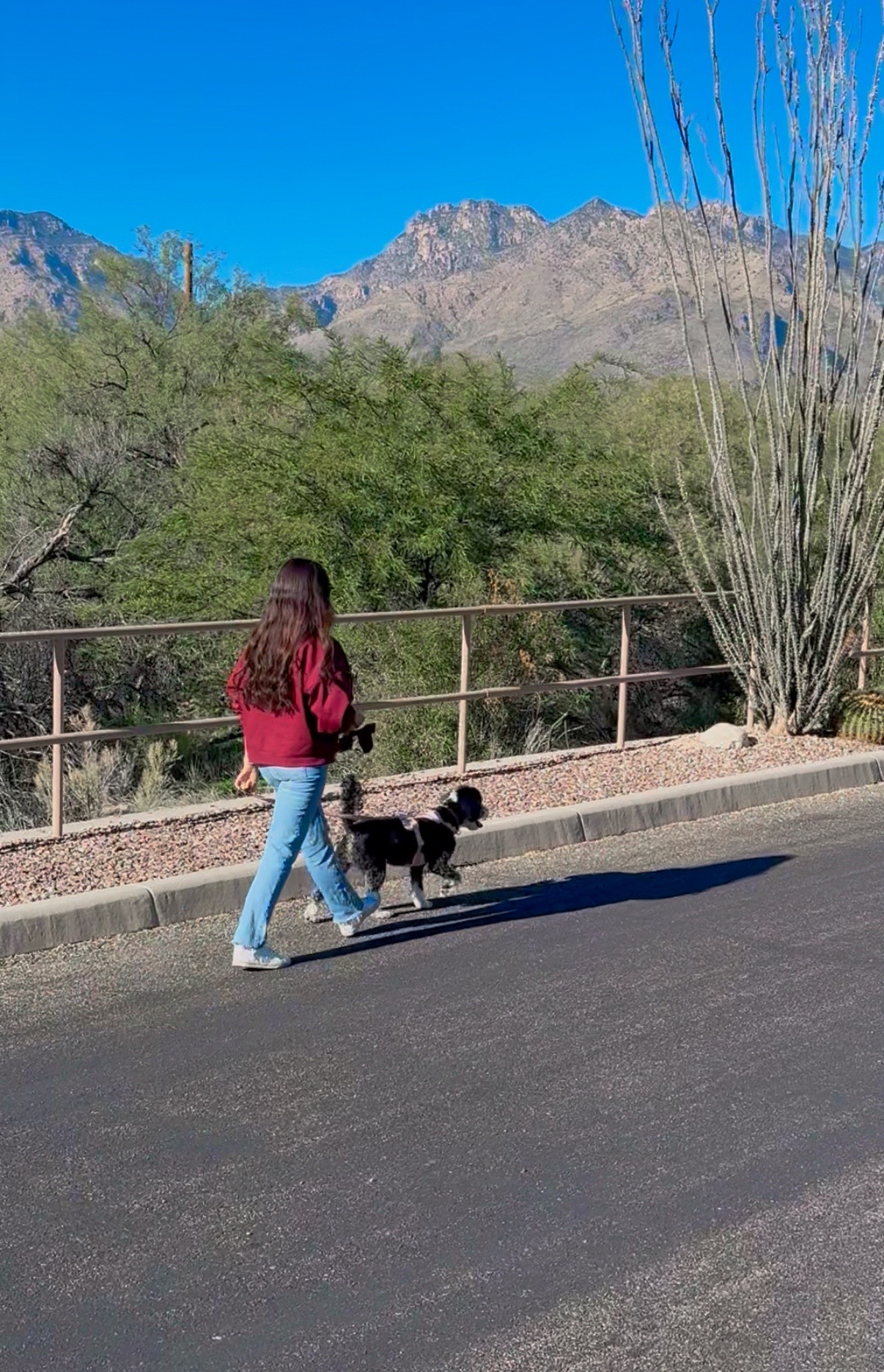 Hábitos de bem-estar de baixo esforço que realmente fazem a diferença
