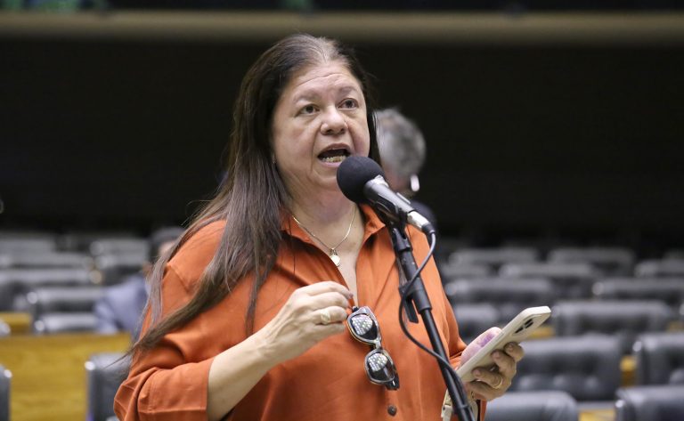 Comissão aprova projeto que estabelece famílias prioritárias em processos de regularização fundiária – Notícias