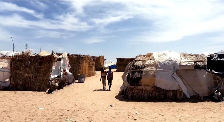 Agência para Migrações pede US$ 277 milhões para ampliar resposta no Sudão