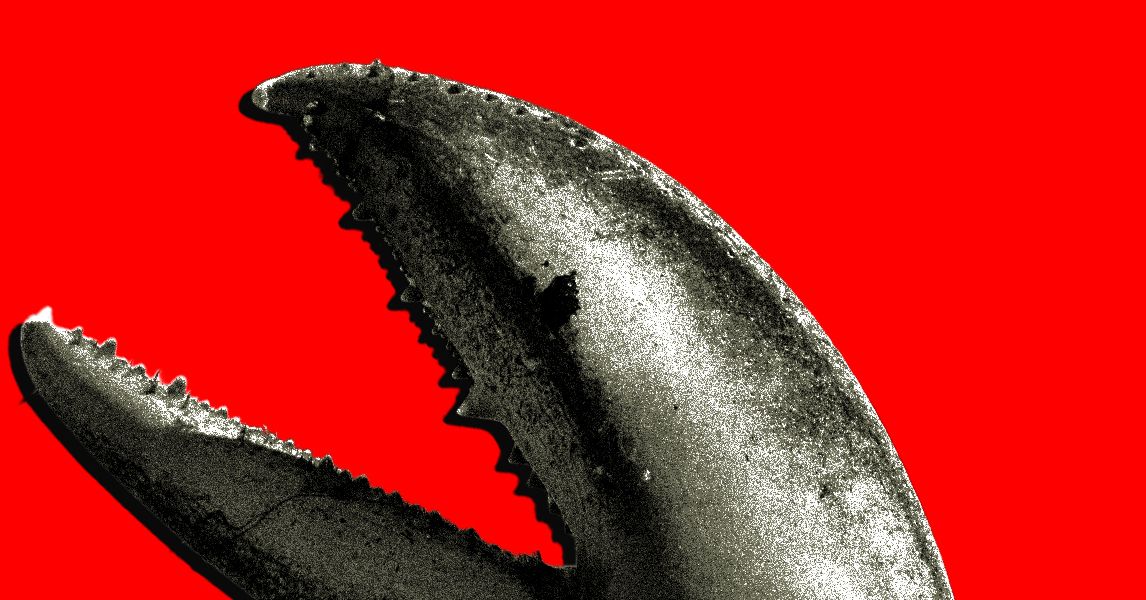 O boom do OpenClaw na China é uma corrida do ouro para empresas de IA