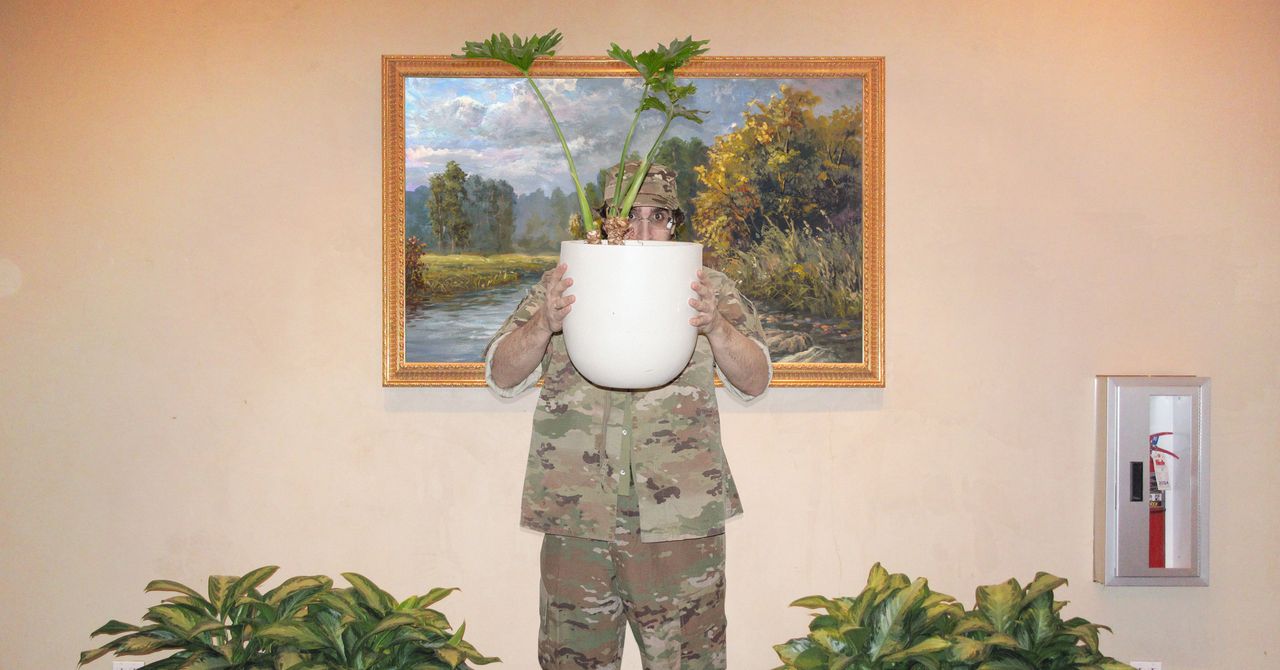 Como a camuflagem americana conquistou o mundo