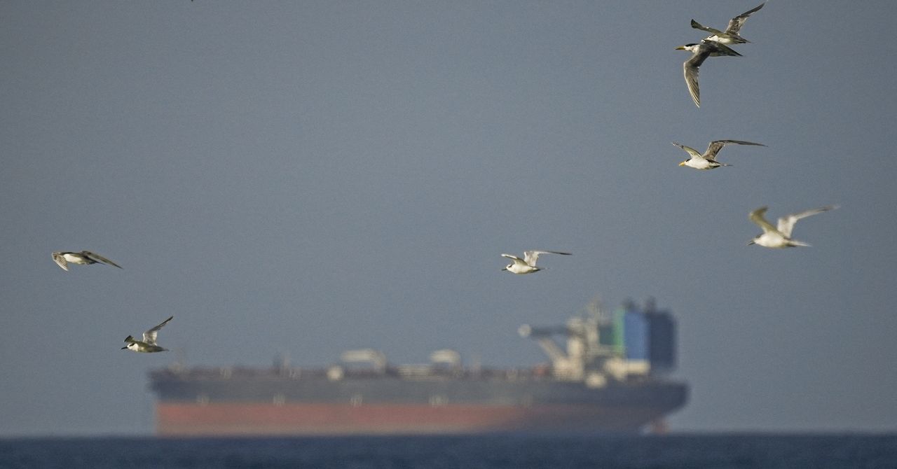 Petroleiros falsificados estão inundando o Estreito de Ormuz. Esses analistas os estão rastreando