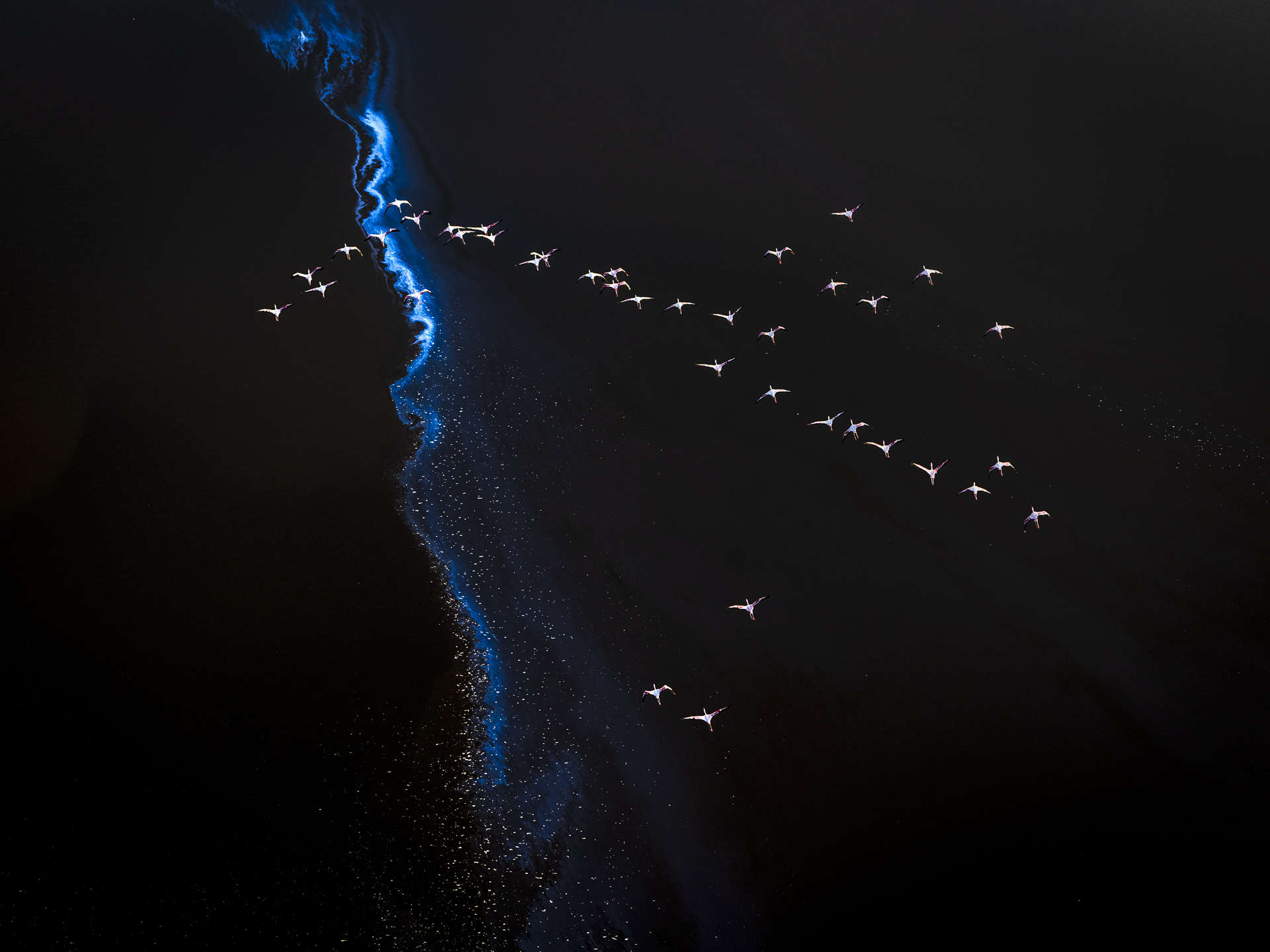 O impressionante álbum de fotos da natureza de Jon McCormack revela a geometria oculta em todo o planeta