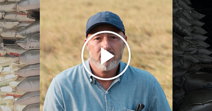 Fazendas do Vietnã atingidas pela guerra no Irã