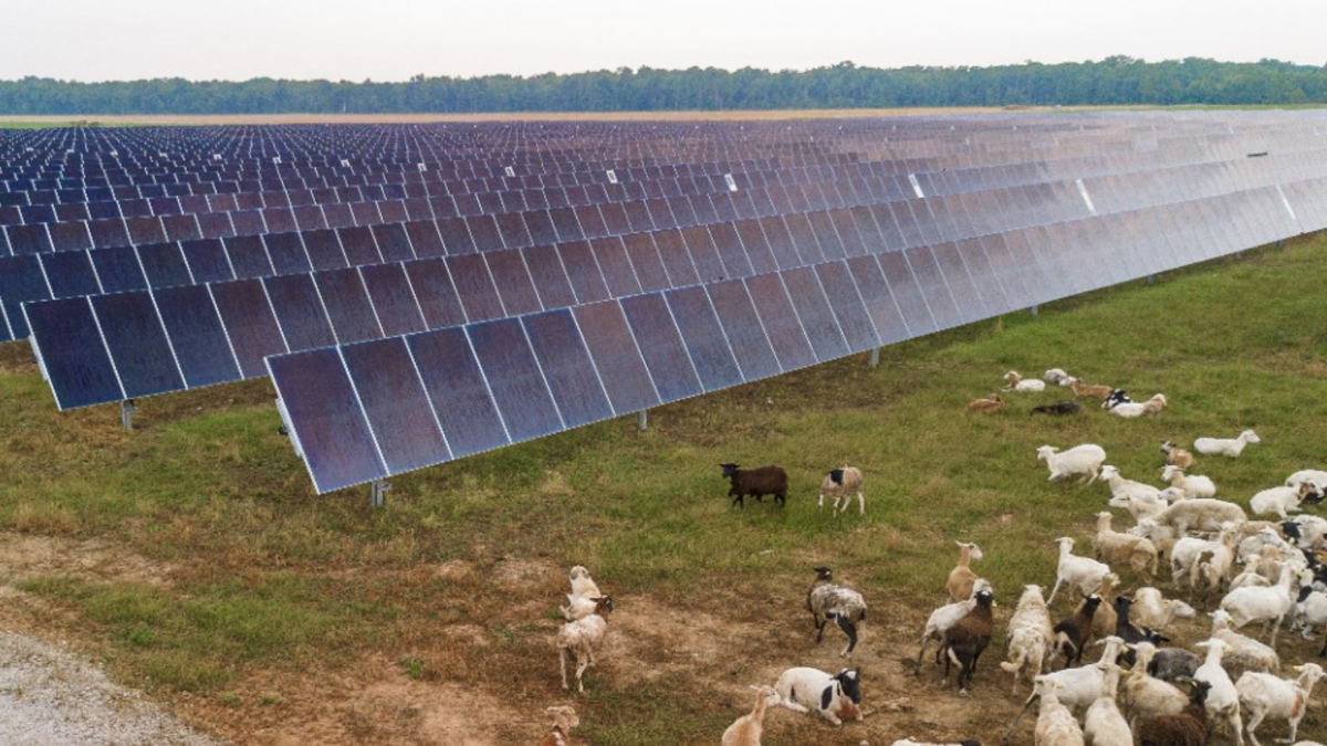 GM agora é alimentada por energia 100% limpa nos EUA