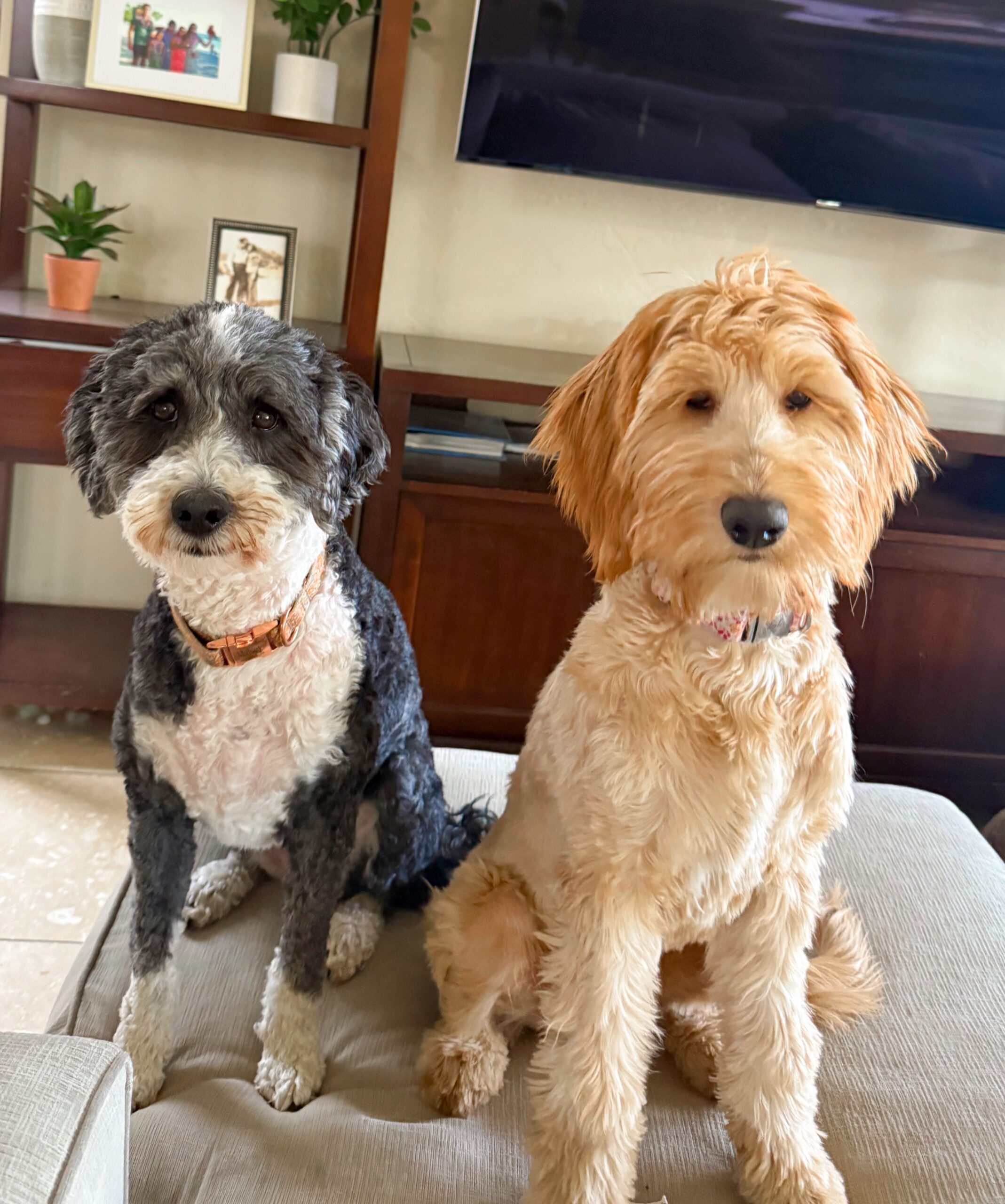 4.17 Favoritos de sexta-feira – The Fitnessista