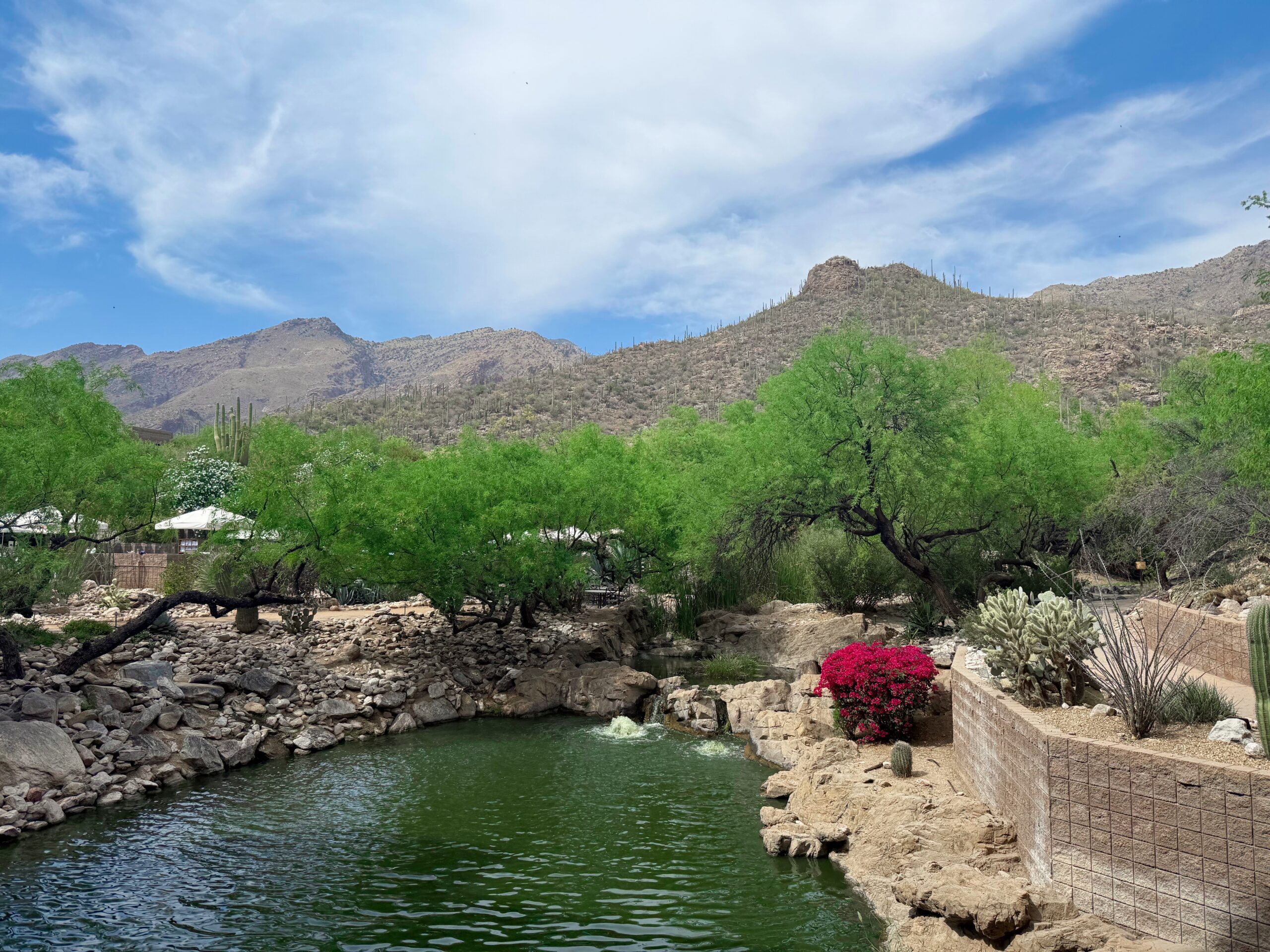 4.3 Favoritos de sexta-feira – The Fitnessista