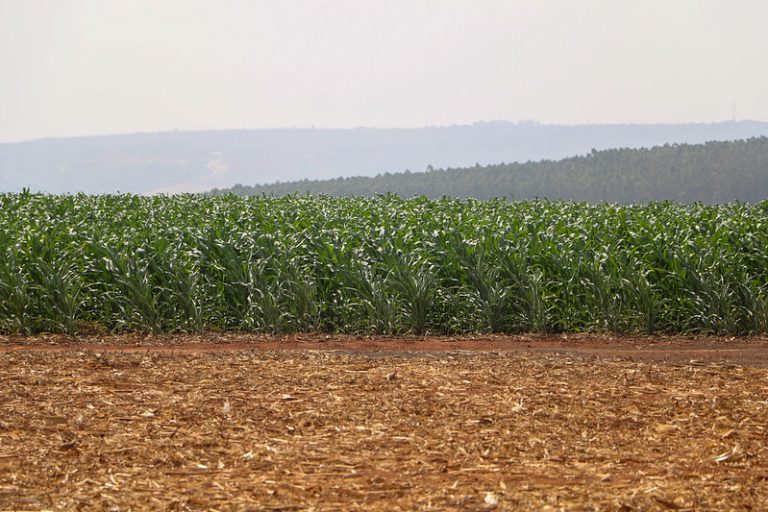 Retrospectiva: deputados aprovaram incentivos para a indústria nacional de fertilizantes – Notícias