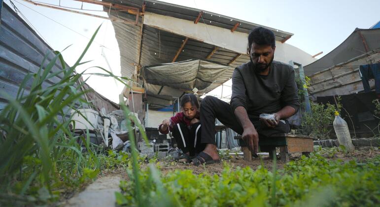 Faixa de Gaza tem 3% das terras agrícolas acessíveis e intactas