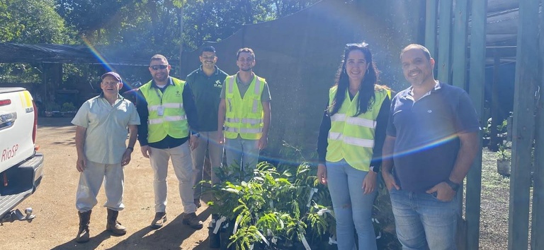 Mudas nativas são destinadas a Paracambi como parte das ações ambientais da Nova Serra das Araras — Agência Nacional de Transportes Terrestres