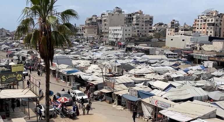 ONU preocupada com território cada vez menor para palestinos em Gaza